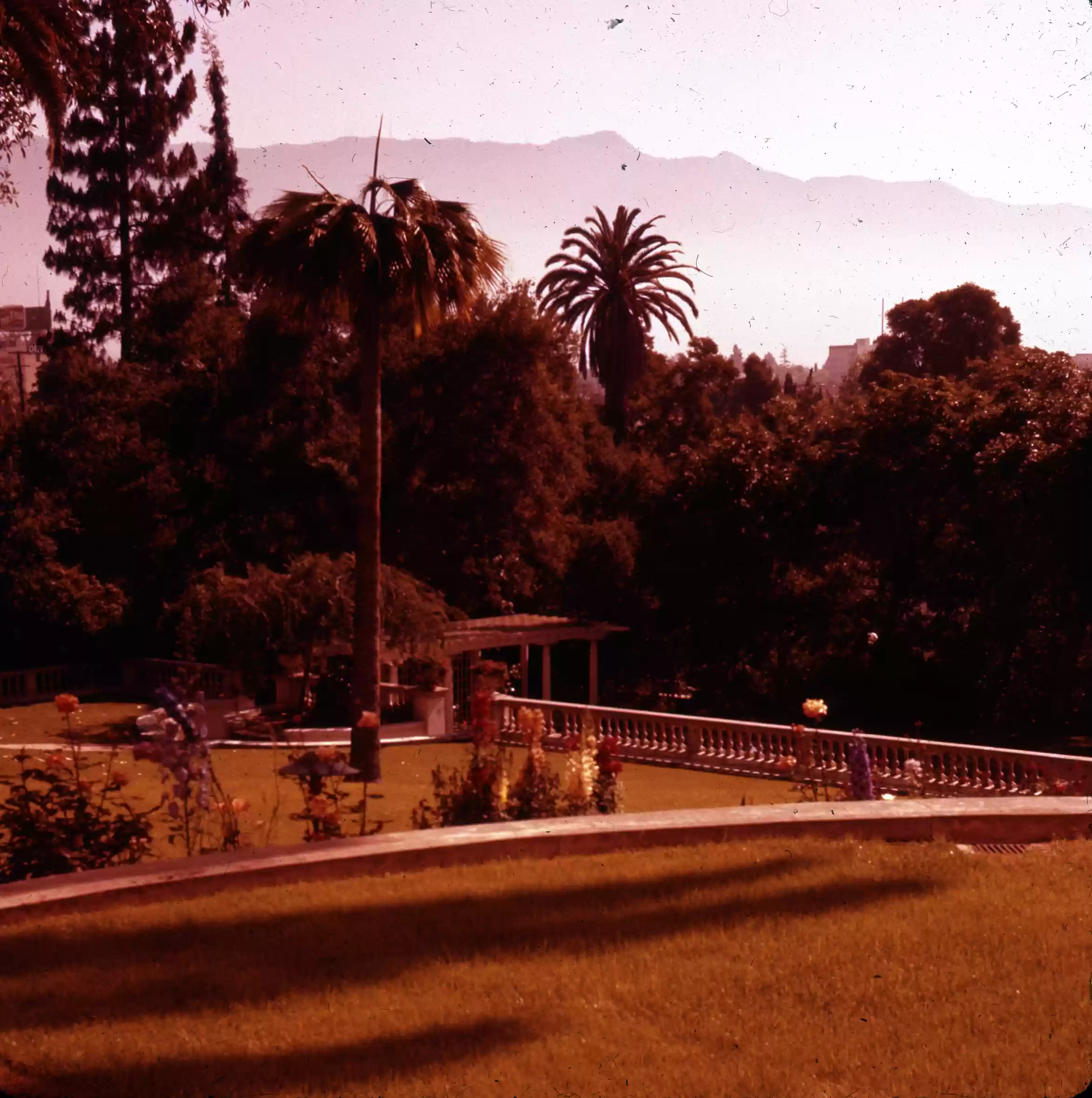 looking over the Lower Gardens Pasadena Campus_0005